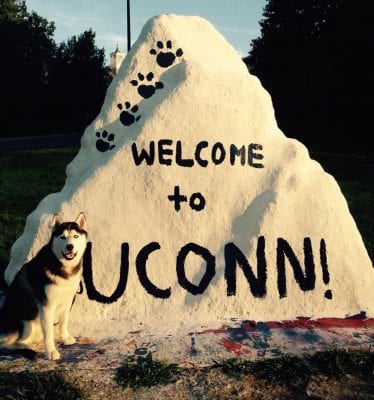 rock painted with welcome
